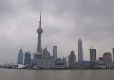 Skyline Shanghai.