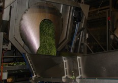 Twee grote centrifuges zorgen voor centrifugeren van gewassen producten.