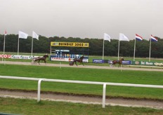 Er werd een special Freshworld race gehouden. Op de baan wapperden de Freshworld vlaggen. Rechts is het reclamebord van Del Monte te zien, net naast de finish. Hierdoor is Bram Kooij zijn huismerk vaak op tv.