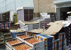 Gelukkig is het aandeel Nederlands product op deze markt groter dan het aantal standhouders op de beurs doet verwachten . . .