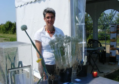 Olga Scholten van Plant Breeding Wageningen doet onderzoek naar rassen