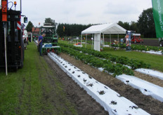 Planten op ruggen