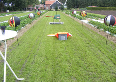 De vogelverschrikkers van H.O. Frijters