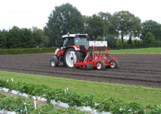 Plantbed klaar maken