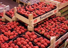 Hoogstraten-aardbeien