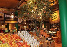 een heuse appelboom in de winkel