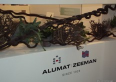 Alumat Zeeman