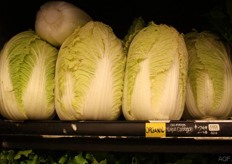 Napa cabbage, ofwel Chinese kool