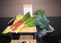 Er was een speciale innovatiehoek ingericht met nieuwe producten en verpakkingen, zoals broccolini, rainbow carrots en little gem. Op deze 'innovatietafel' waren ook platte witte kool, palmkool, flowersprout, boerenkool in paars en groen en warmoes in drie kleuren te vinden.