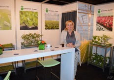 Sonja van den Berk van Brabant Plant