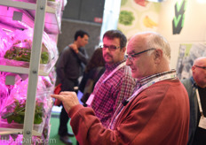 Checking out the ViVi salad in a bag