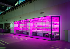 Van Gelder groente & fruit en verticale teeltspecialist PlantLab zijn een samenwerking aangegaan om diverse soorten verse groenten te produceren in PlantLab’s volledig gecontroleerde Plant Productie Units (PPU’s).