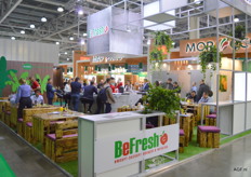 BeFresh uit Israël heeft een exportprogramma voor bijvoorbeeld paprika's, tomaten, wortelen, aardappel, radijs, selderij, citrus, avocado, granaatappels enz. Het bedrijf produceert en exporteert.