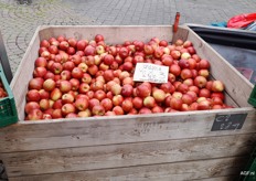 Appelen komen al 30 jaar van een vaste teler. "De mooiste handel, recht van het land naar de markt", aldus Hennie Vroegop.