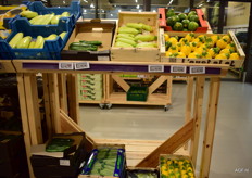 Veel variatie in courgette