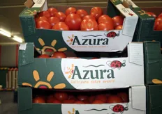 Tomaten van Azura.