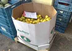 Lokale supermarkt met (lelijke) appelen in bulk verpakking