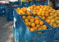 40 cent voor sinaasappelen