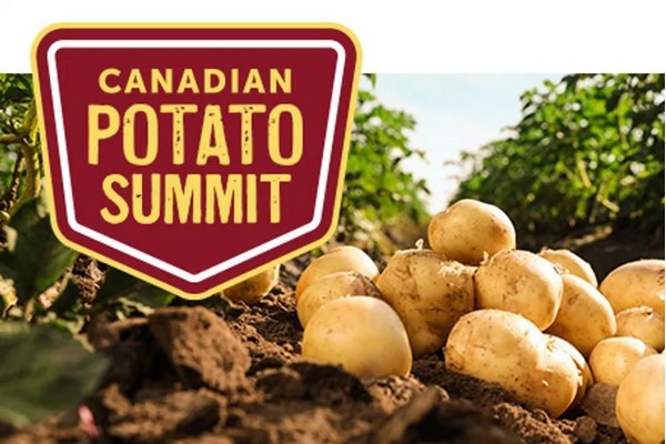 Innovaties Op Canadian Potato Summit 2024   Acca 