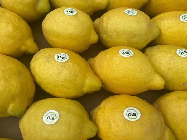 Prijzen bio-citroen Perpignan, maatstaf voor heel Europa, zijn momenteel dalende"